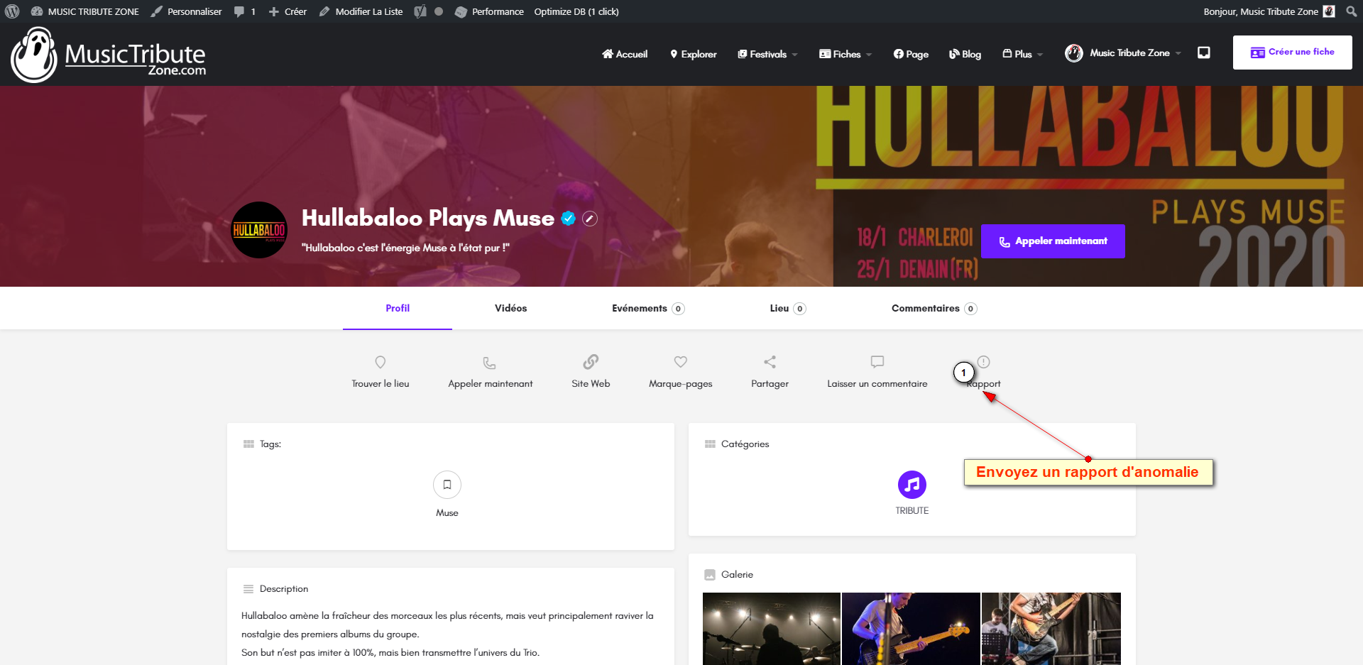 FireShot Pro Screen Capture #016 - 'Hullabaloo Plays Muse I MUSIC TRIBUTE ZONE' - music-tribute-zone_com